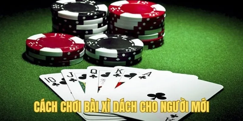 Hướng dẫn cách chơi bài xì dách dành cho người mới